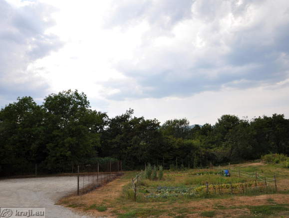 Garden near the castle
