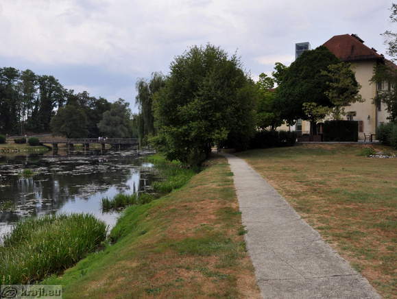 View from part to the wooden bridge