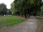 Grajski park - Grajski park - Vzhodna stran 