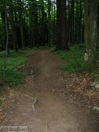 Trdinov vrh - Dom pri Gospodicni