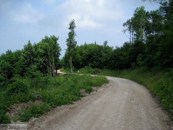 Trdinov vrh - Dom pri Gospodicni