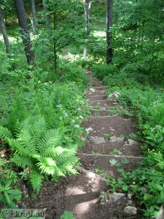 Trdinov vrh - Dom pri Gospodicni