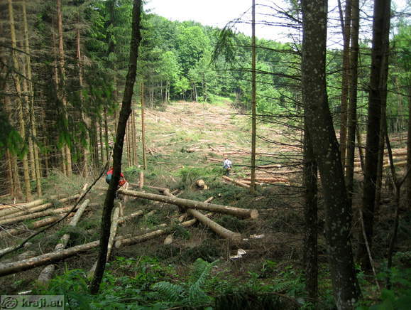 Trdinov vrh - Dom pri Gospodicni