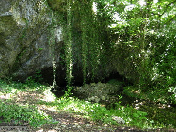 Kostanjeviska jama (Kostanjevica Grotte)