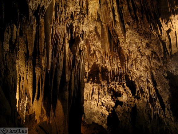 Kostanjeviska jama (Kostanjevica Grotte)