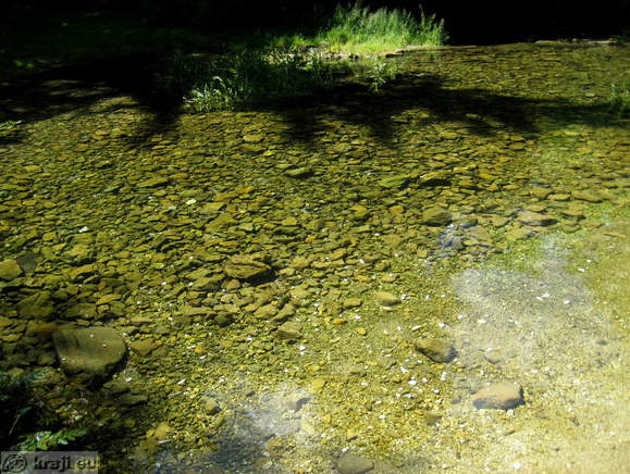 Kostanjeviska jama (Kostanjevica Grotte)