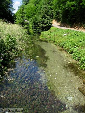 Kostanjeviska jama (Kostanjevica Grotte)