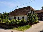 Šentrupert - Kmečka hiša - Šentrupert 21 