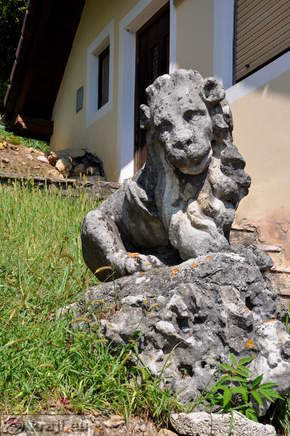 Lion at Beekeepers home