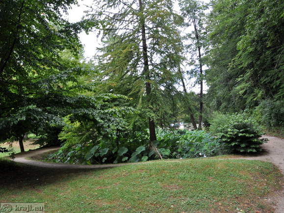 Smarjeske Toplice - Teich (Indischer Lotus)