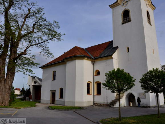 Cerkev sv. Marjete in drevo robinija