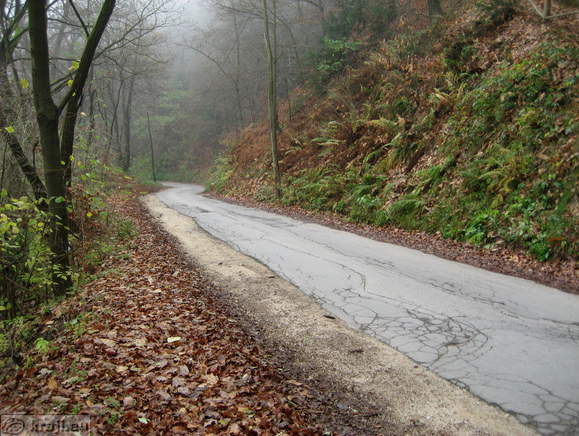 Cesta (Maistrova ulica) na Miklavški hrib
