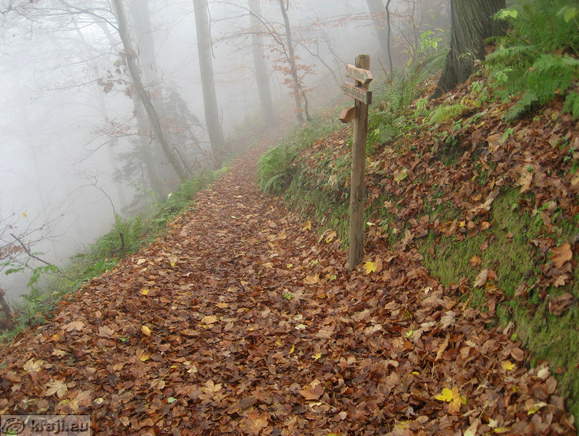 Pot proti razglednemu stolpu