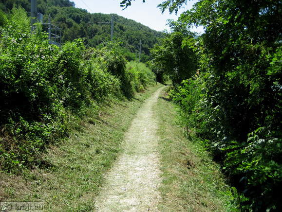 Alte Burg Celje - Weg
