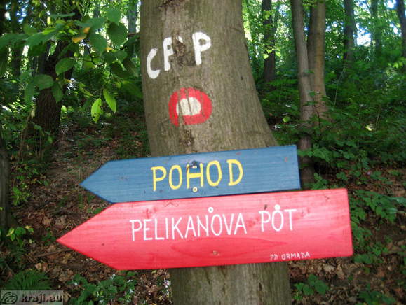 Alte Burg Celje - Weg