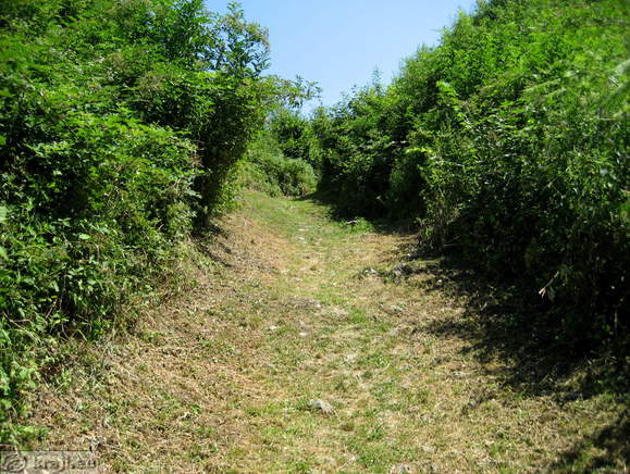 Alte Burg Celje - Weg