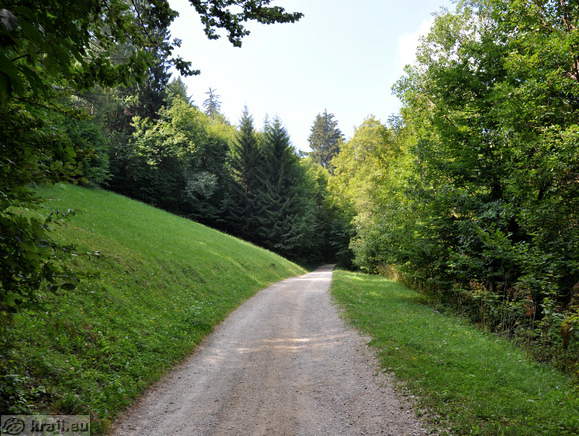 Forest road to Celjska koca