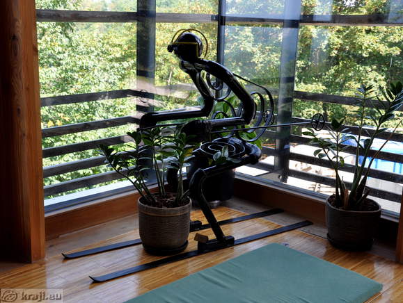 Sculpture of skier in the Hotel Celjska koca