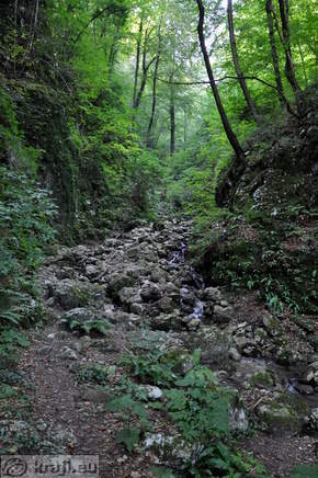 Trail along the Hudicev potok Brook Trail along the Hudicev potok Brook