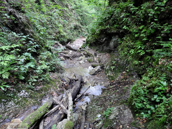 Path on the right side of the Hudicev potok Brook on the step pegs Path on the right side of the Hudicev potok Brook on the step pegs