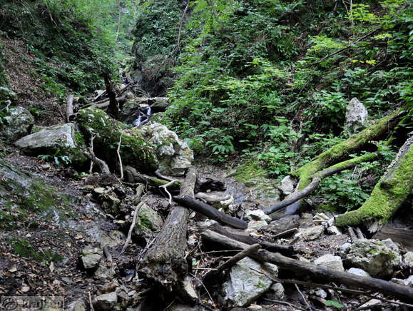 Riverbed of the broog is full of trees and other material Riverbed of the broog is full of trees and other material