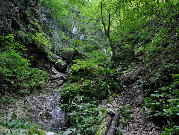 Gorge Hudicev graben <br> Uphill trail along the brook