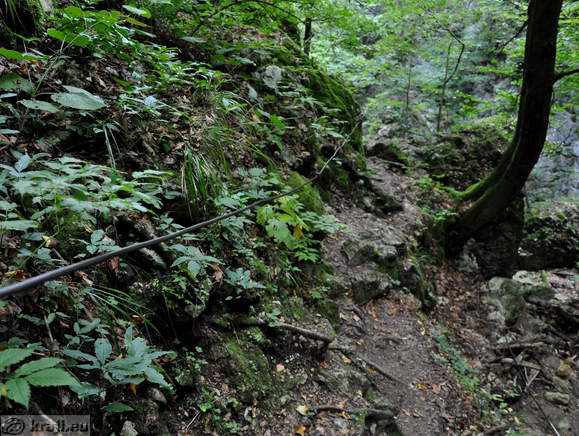 Secured path Secured path