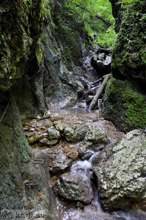 Gorge Hudicev graben <br> Path on the right bank of the brook