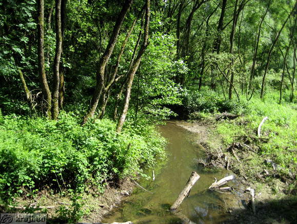 Mokrišče