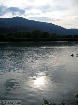 Dravograjsko jezero s pestro floro in favno 