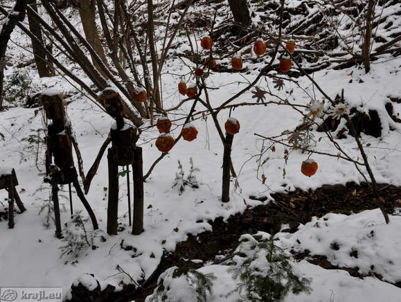 Olimje - Hütte Hexe