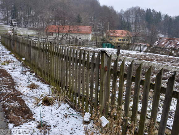 Pot ob vrtu zdravilnih zelišč