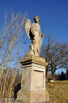 Angel