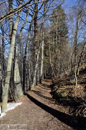 Path through the forest to the spa