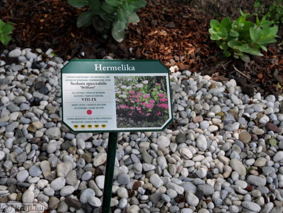 Spa Park - Gartenpflanzen von Honig