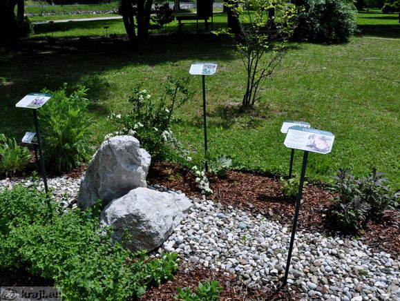 Spa Park - Gartenpflanzen von Honig