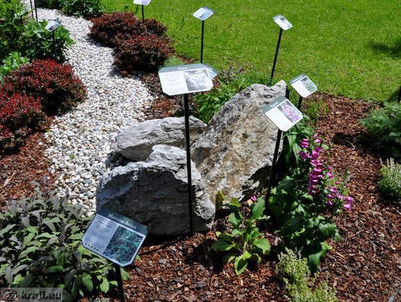 Spa Park - Gartenpflanzen von Honig