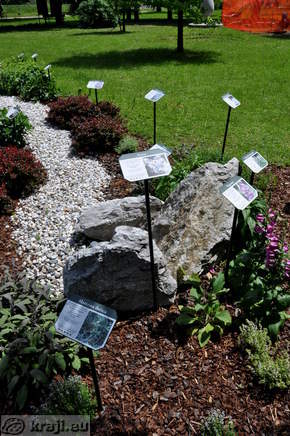 Spa Park - Gartenpflanzen von Honig