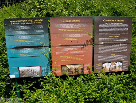 Spa Park - Gartenpflanzen von Honig