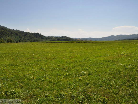 Pot v smeri Hotemeškega polja