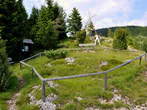 Golte - Alpine Garden <br> Alpine meadow 