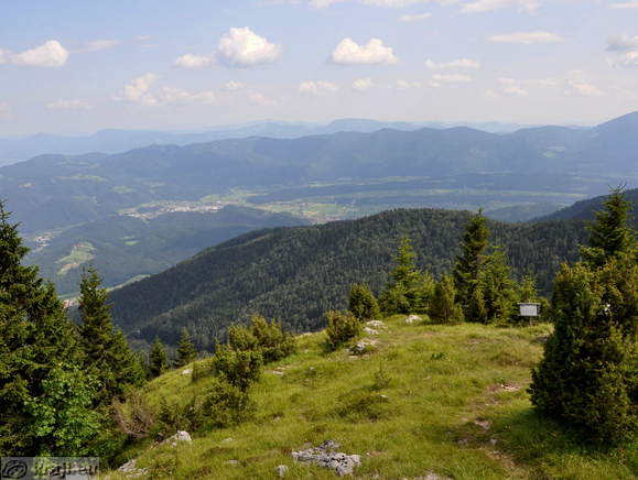 Alpine Garden <br> View from Golte Alpine Garden <br> View from Golte