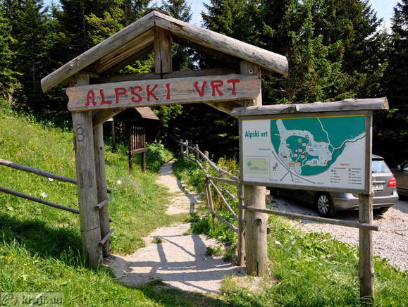 Alpine Garden Alpine Garden