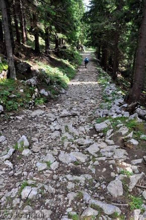 Footpath from Ice Cave to the chapel (parking area, Mozirska koca Mountain Hut)