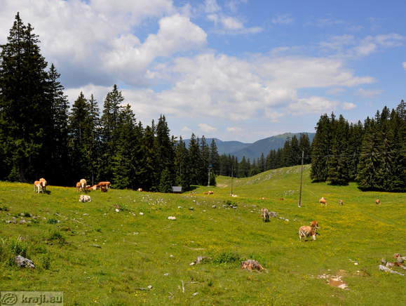 Stari stani <br> Pastures around Stari stani Stari stani <br> Pastures around Stari stani