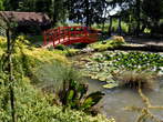 Japonski vrt - Japonski vrt - Eden najlepših delov Mozirskega gaja 