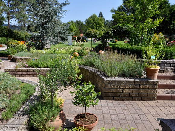 Zeliščni vrt v Mozirskem gaju