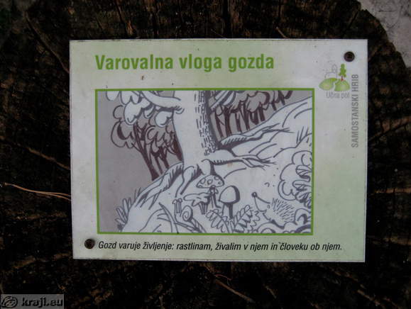 Educational Trail - Protective role of the forest