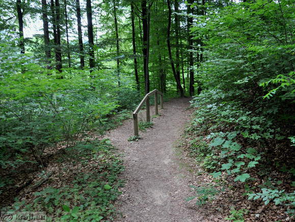 Trim steza Janina - Preskakovanje gredi