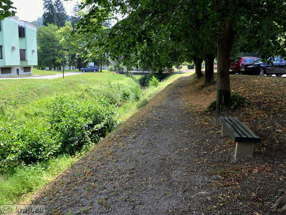 Trail along the Locnica Stream